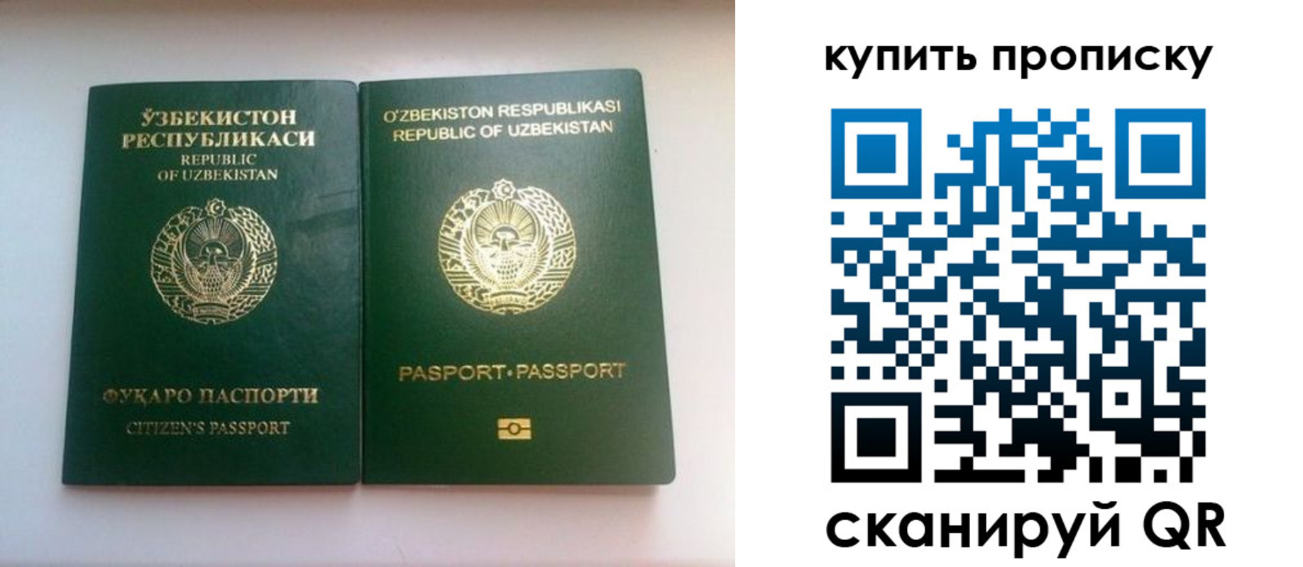 временная прописка в Михайловке